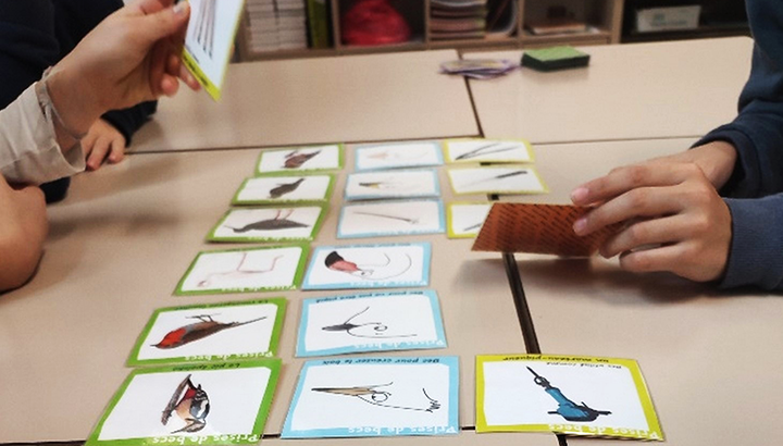 Le projet «Drôles d’oiseaux !» en Dordogne !